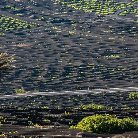 Apartman Home2book Sunlit & Stylish In Playa Honda