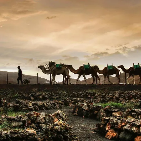 Home2book Sunlit & Stylish In Playa Honda