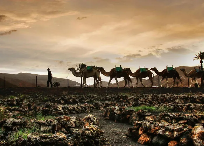 Home2book Sunlit & Stylish In Playa Honda (Lanzarote)