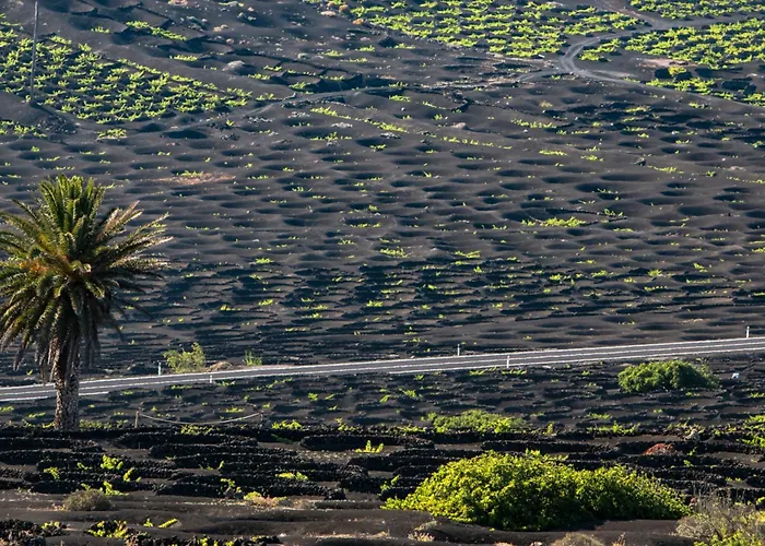 Apartment Home2book Sunlit & Stylish In Playa Honda (Lanzarote)
